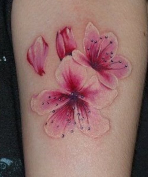 Awesome Cherry Blossom Flower Tattoo On Arm